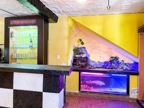 Aparthotel Los Lagos De Jas�