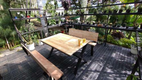 Casa El Ocobo, Proyecto Ecodependiente