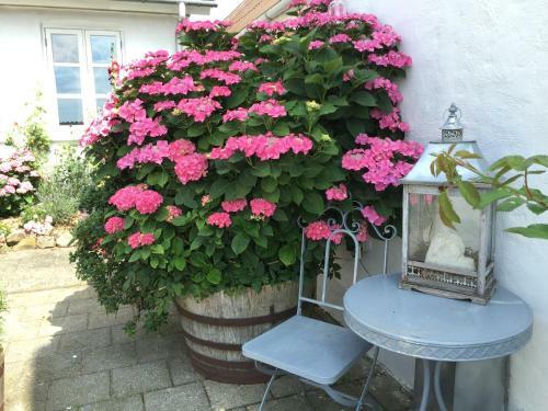 Vejle Golf Bed & Breakfast