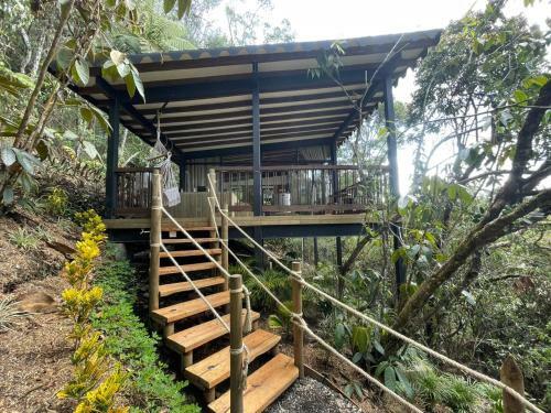 Ecoluxury Glamping