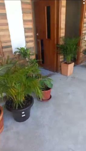 Hostal Caba�a Sol Y Mar Betta