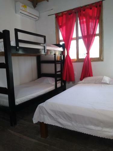 Hostal Paula C