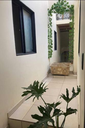 Hotel Oto�o