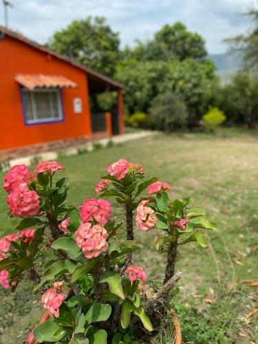 Finca El Para�so
