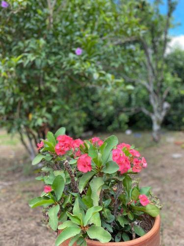 Finca El Para�so