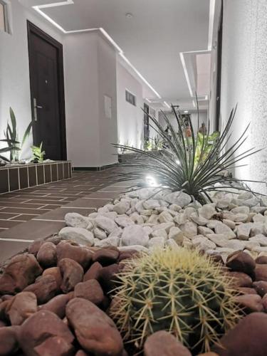 Apartamento Condominio Oasis 207