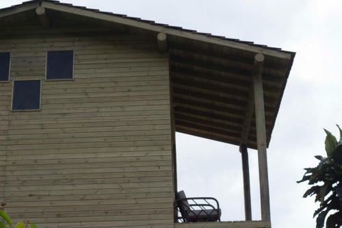 Camelia Hostel