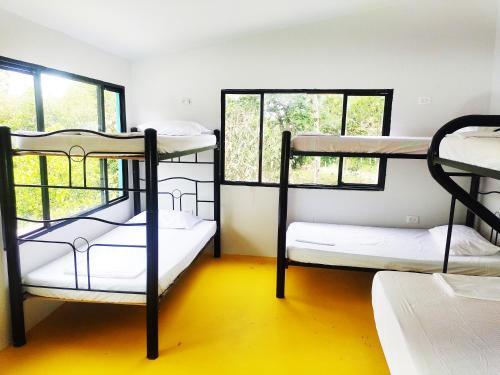 Hostal Amalaya Hostel