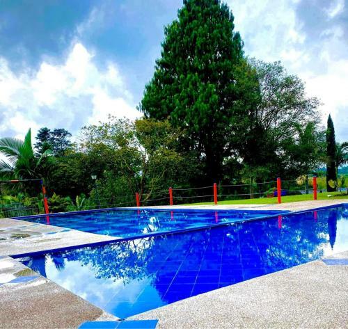 Finca Hotel Paisaje Cafetero