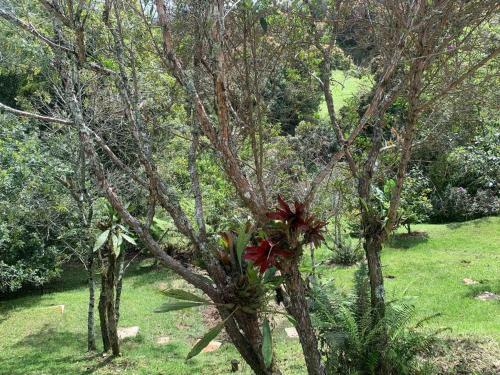 Creek House /casa De Los Arroyos