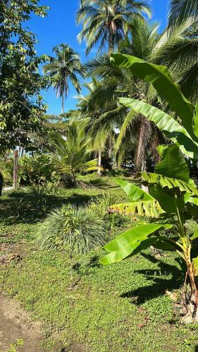 Popochos Beach Eco-lodge