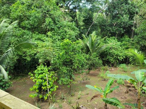 Lodge Ecohotel Bah�a Terco