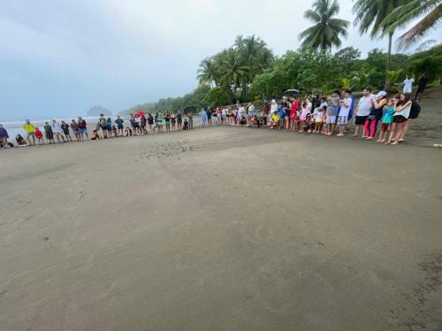Lodge Ecohotel Bah�a Terco