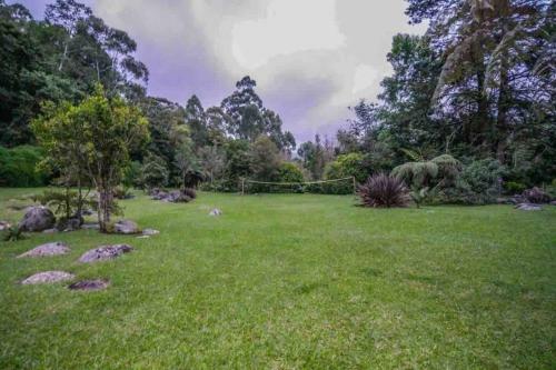 Finca Punta De Piedra Salento, Quindio
