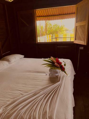 Hotel Caba�as Iracas Del Mar
