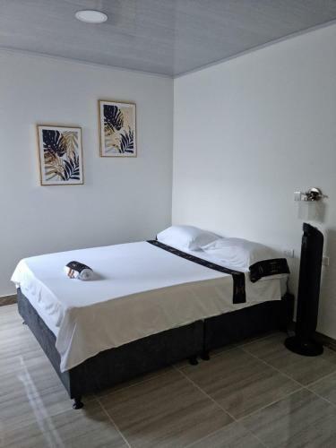 Hotel Plaza Real Oiba