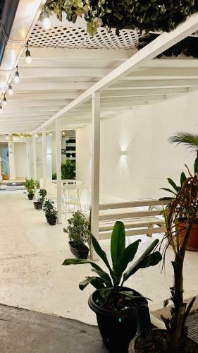 Dihouse Apartment - Habitacion Privada