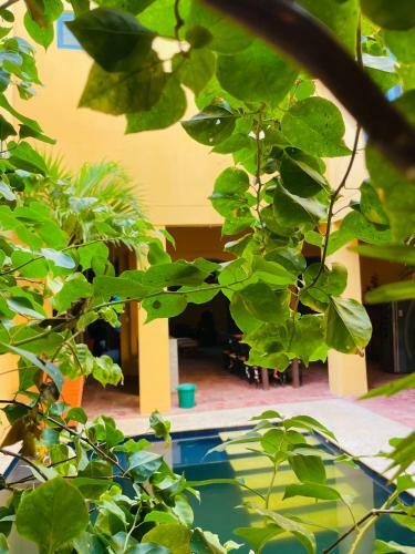 Bed & Breakfast Casa Encantada