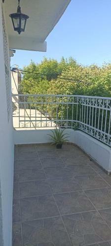 Apartaestudio