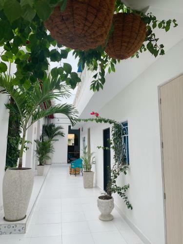 Comunidad Calle 13 Hotel Boutique