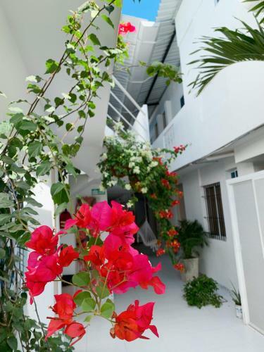 Comunidad Calle 13 Hotel Boutique