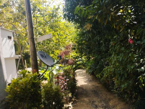 Hostal Y Camping Villa Guadua Tayrona