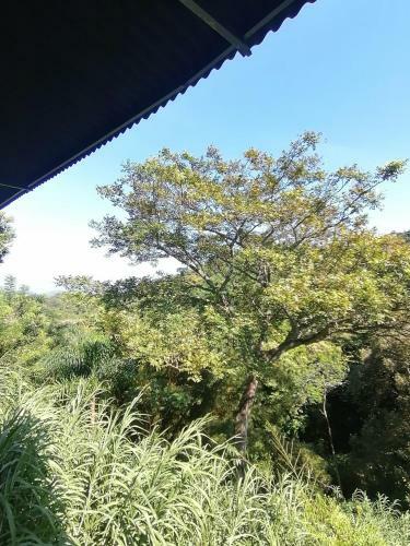 Albergue Casa Pistacho