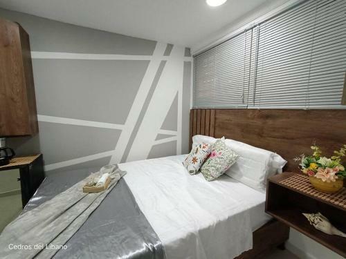 Apartamento Hab. Privada C�ntrica Renovada