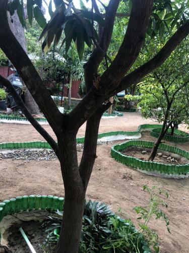 Hostal Tayrona Shalom Bait