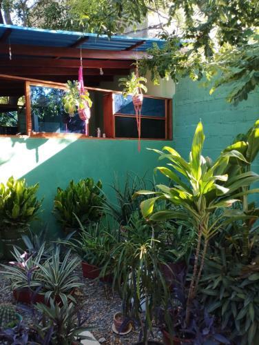 Hostal Taganga Macabi Hostel