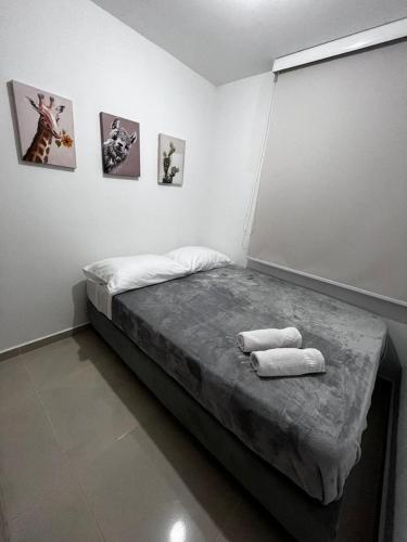 Apartamento Cerca A Unicentro, Estadio, Expofuturo
