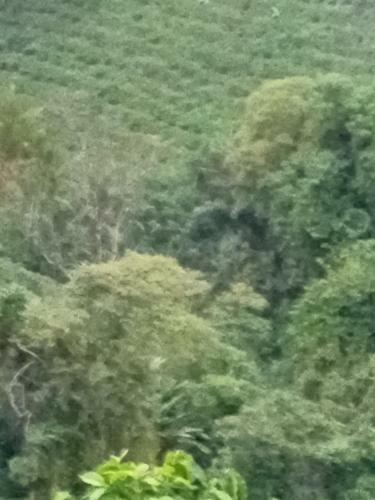 Rancho De Juancho