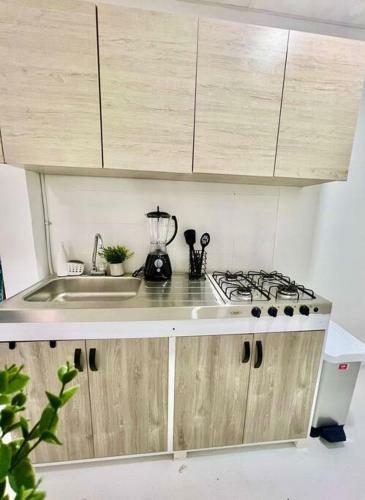 Central Y Acogedor Apartamento