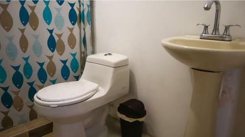 Hostal Casa Amatista
