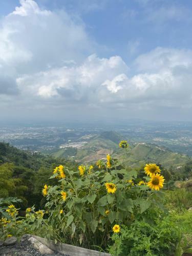 Bed & Breakfast Glamping R�os Voladores