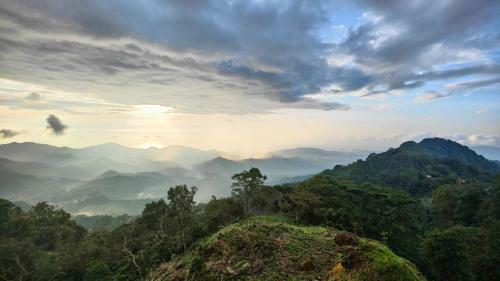 Bed & Breakfast Caba�as Minca Sintropia