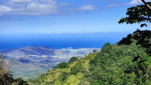 Bed & Breakfast Caba�as Minca Sintropia