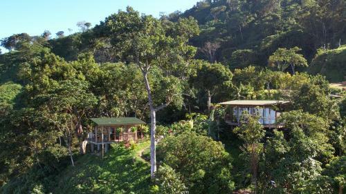 Bed & Breakfast Caba�as Minca Sintropia