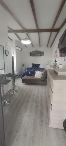 Modern Apartment/studio