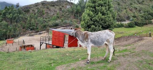 Casa De Huespedes - Naturalove
