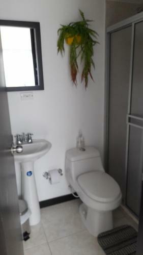 Apartamentos Tur�sticos Parque Del Caf�