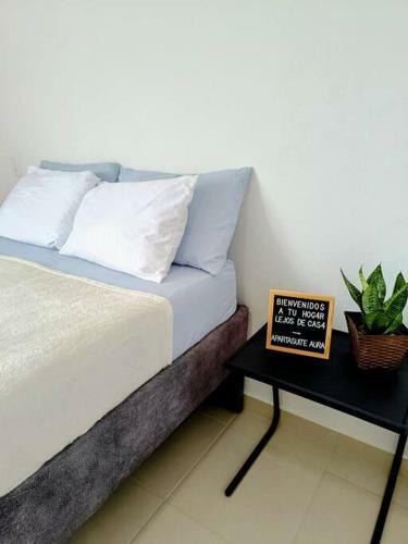 Apartasuite Casa Aura