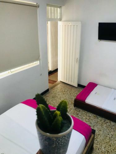 Hotel Maceo Melgar