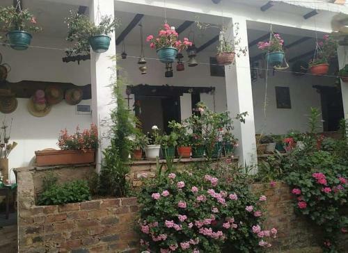 Hostal Hospedaje La Lomita