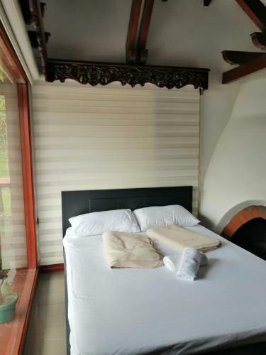 Hotel Boutique Babilonia Manizales