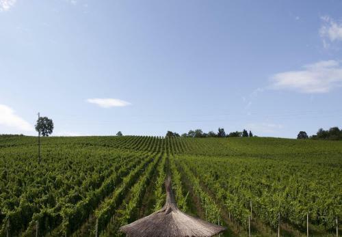 Stupni?ki Dvori Winery Hotel