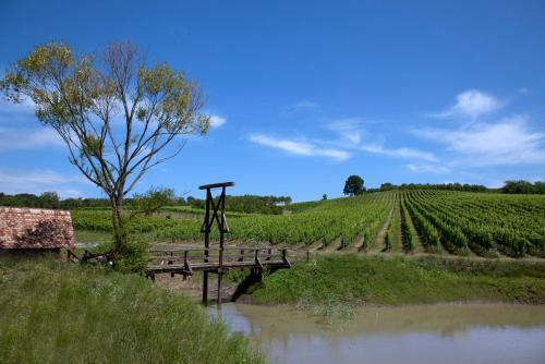 Stupni?ki Dvori Winery Hotel