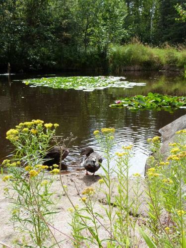 Bed & Breakfast Vieille �cole Du Rang 3