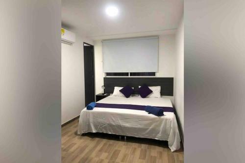 Apartasuite 10-72. 2