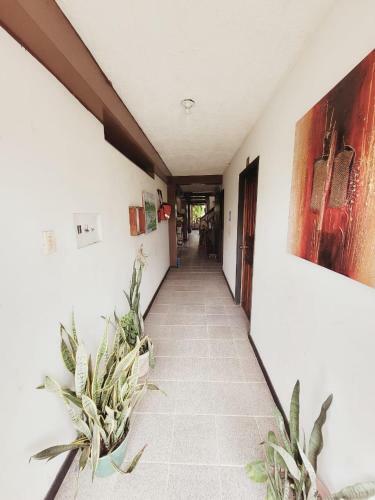 Divino Ni�o Hotel